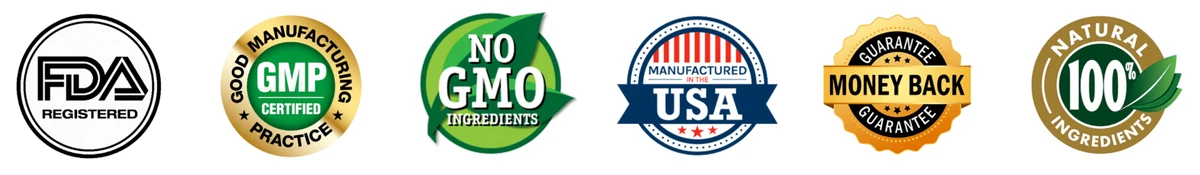 Certified Genesis Revival